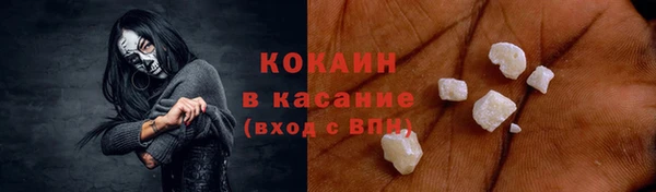 трава Наволоки