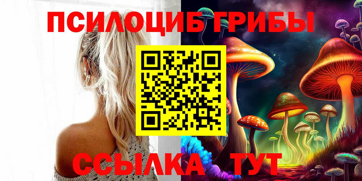Галлюциногенные грибы Cubensis Братск