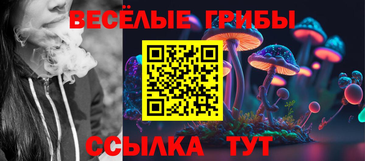 Галлюциногенные грибы мицелий  Вход с VPN  наркошоп  Братск  Галлюциногенные грибы Psilocybine cubensis 
