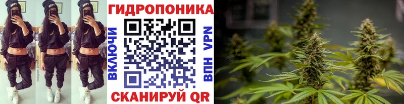 Бошки марихуана план  Братск 